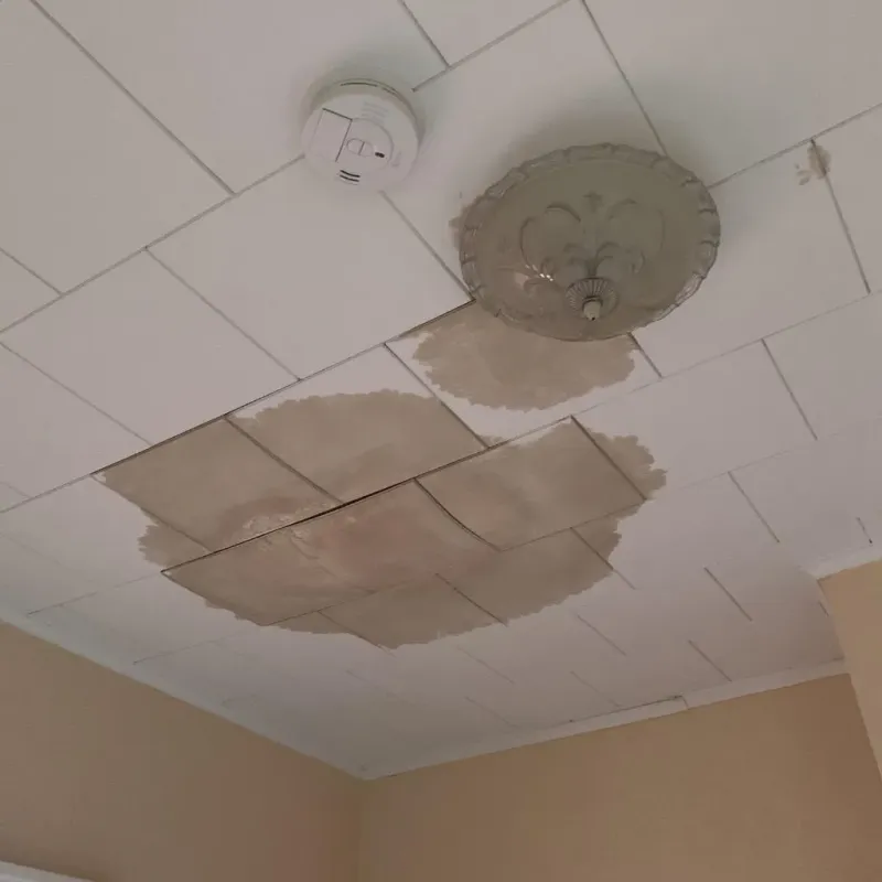 Ceiling Water Damage Repair in Beaver Dam, WI