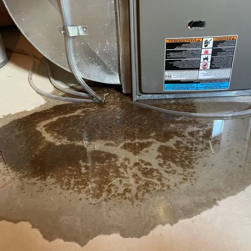 Pipe Burst and Leak Restoration in Beaver Dam, WI